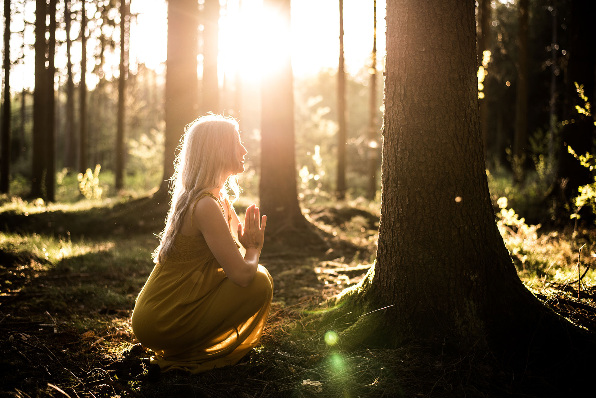 Unearthing Ancient Celtic Wisdom for Modern Life Harmony